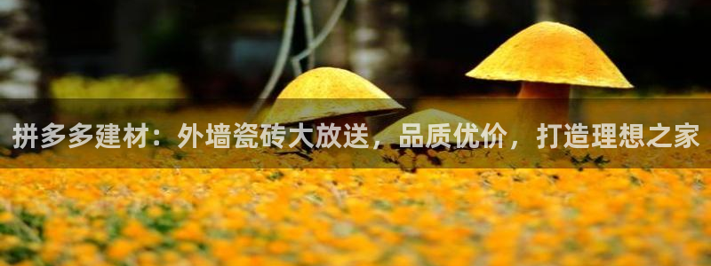 杏鑫平台怎么样黑钱吗