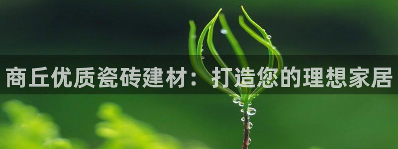 杏鑫平台招商怎么样啊
