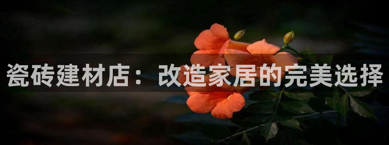 杏鑫官方平台怎么样啊知乎