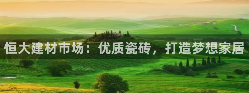 杏鑫官方平台怎么样啊安全吗