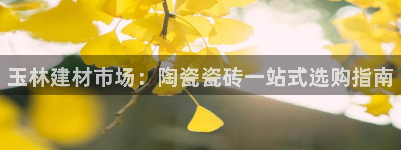 杏鑫官网注册账号密码是多少
