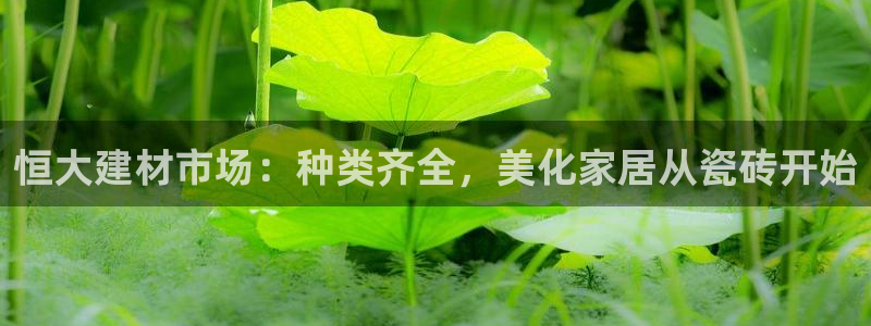 杏鑫平台代理注册多少钱一个
