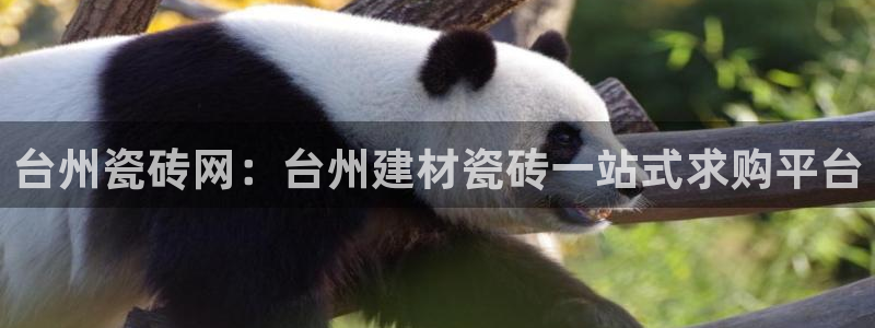 杏鑫代理注册