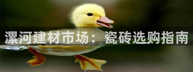 杏鑫注册登录地址