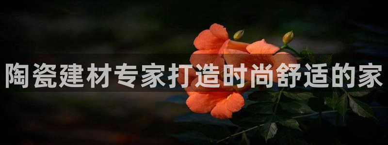 杏鑫官网注册账号是什么样的