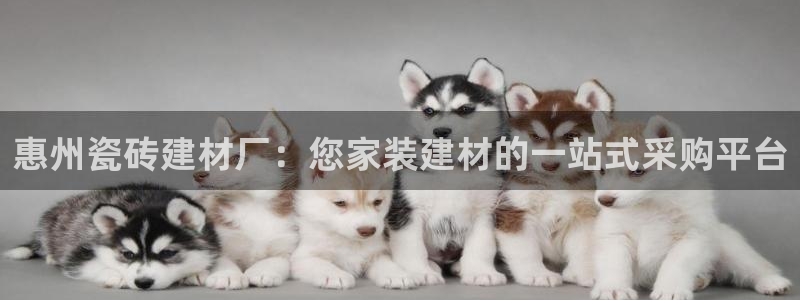 杏鑫平台代理注册