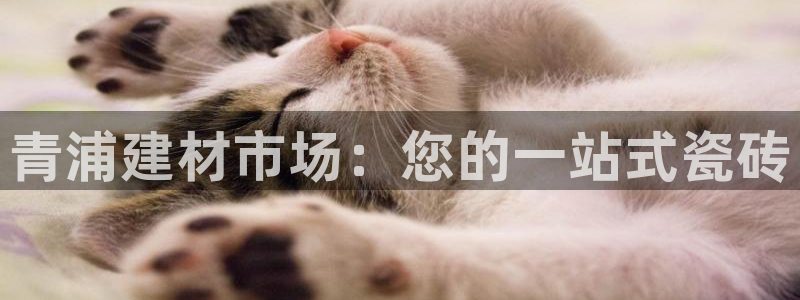 杏鑫平台招商电话号码查询