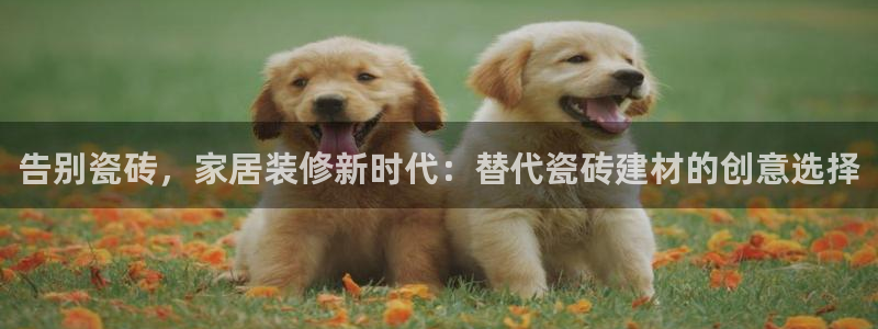 杏鑫平台代理怎么样啊