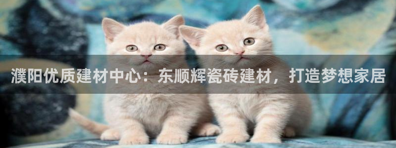 杏鑫平台代理怎么做赚钱