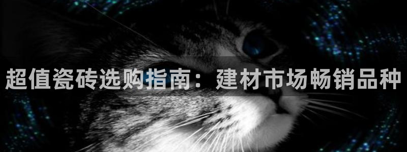 杏鑫平台在线注册流程