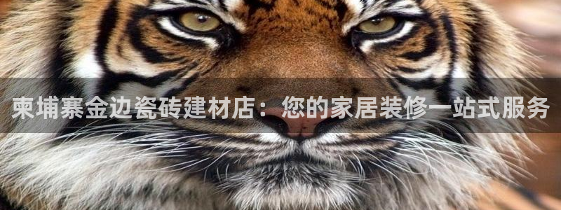 杏鑫娱乐官网下载