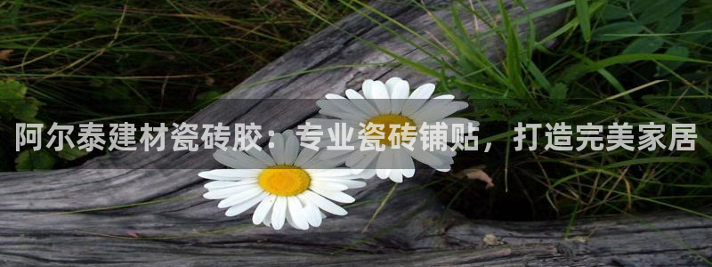 杏鑫官网注册账号密码忘了