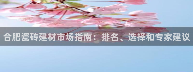 杏鑫平台代理注册流程