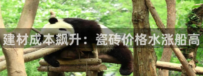 杏鑫平台代理注册要钱吗