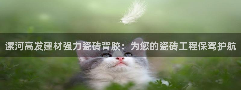 杏鑫平台靠谱吗