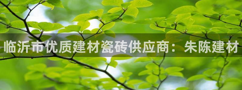 杏鑫注册登录网址是什么