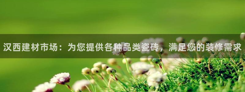 杏鑫平台平台娱乐