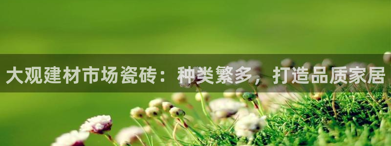 杏鑫平台在线注册