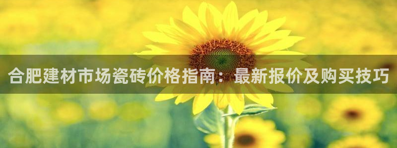 杏鑫手机客户端怎么下载