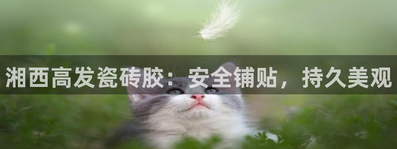 杏鑫注册登录网址是什么