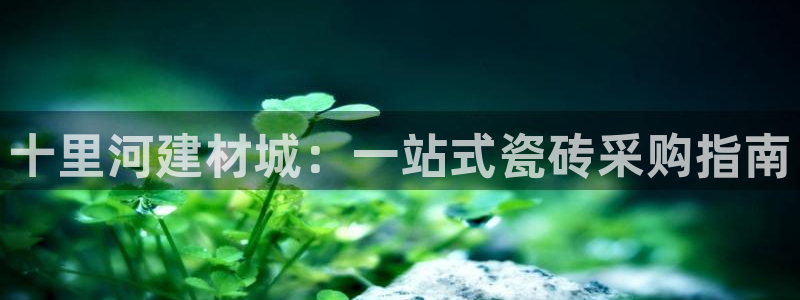 杏鑫娱乐官方网站客户端下载安装