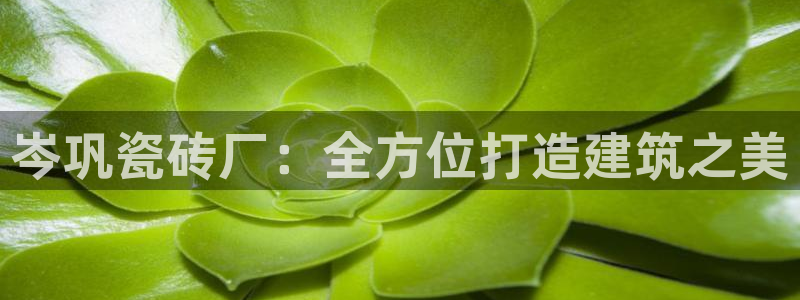 杏鑫平台下载安装