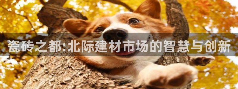 杏鑫平台待遇