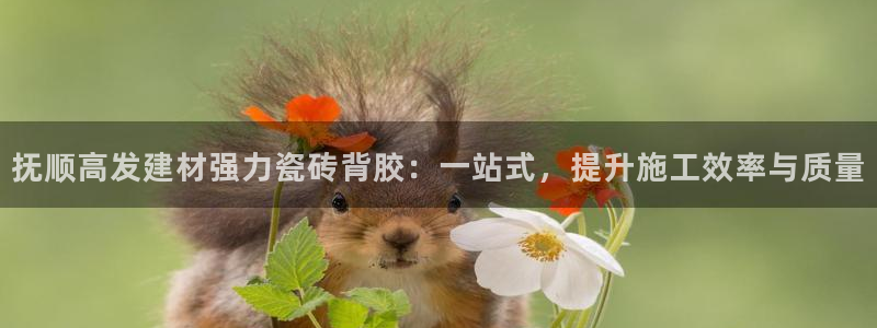 杏鑫平台野马联盟