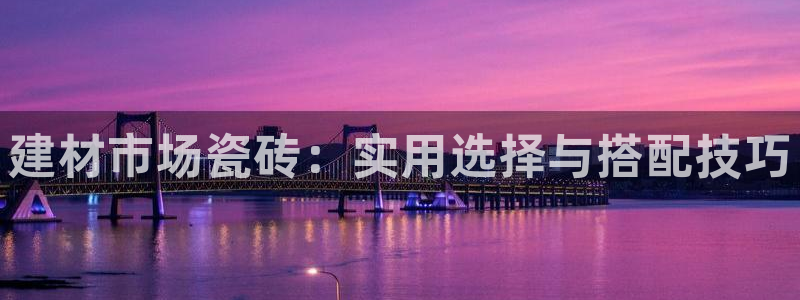 杏鑫招商总代