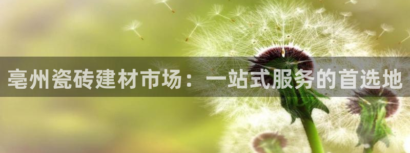 杏鑫官网最新信息新闻