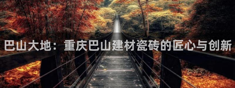 杏鑫官方app代理