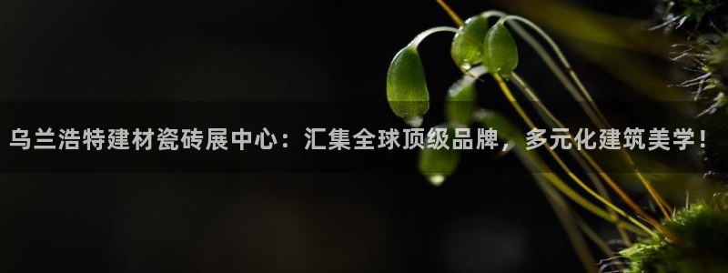 杏鑫平台正规吗可信吗