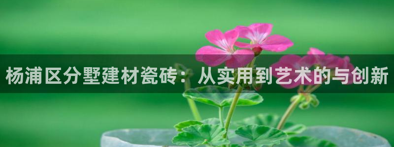 杏鑫平台招商电话是多少