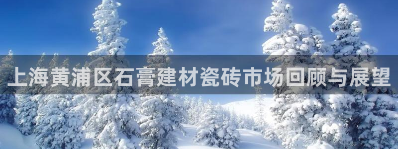 杏鑫平台野马联盟怎么样