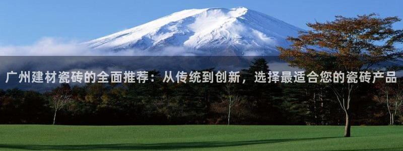 杏鑫官网最新信息