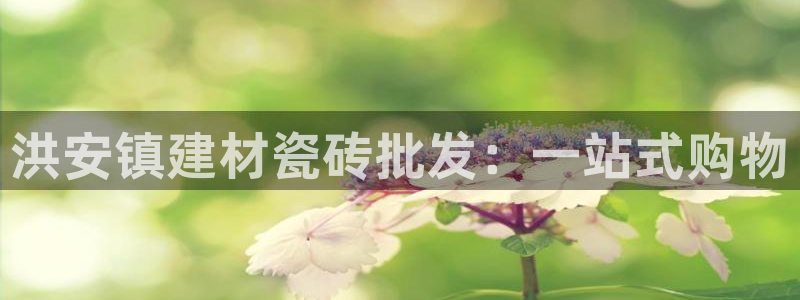 杏鑫平台代理怎么做