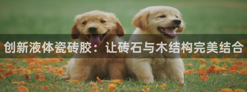 杏鑫官方平台怎么样啊知乎