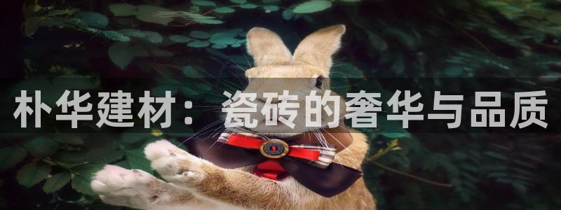 杏鑫娱乐怎么下