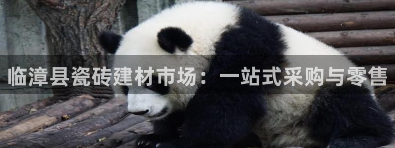 杏鑫娱乐是合法的吗?