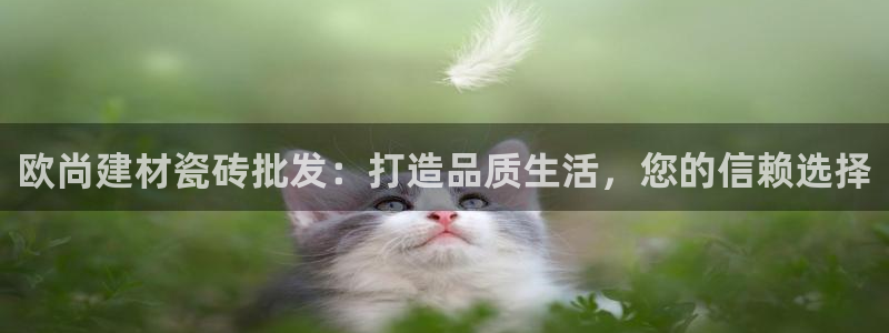 杏鑫平台代理怎么样啊