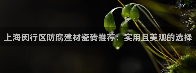 杏鑫注册登陆