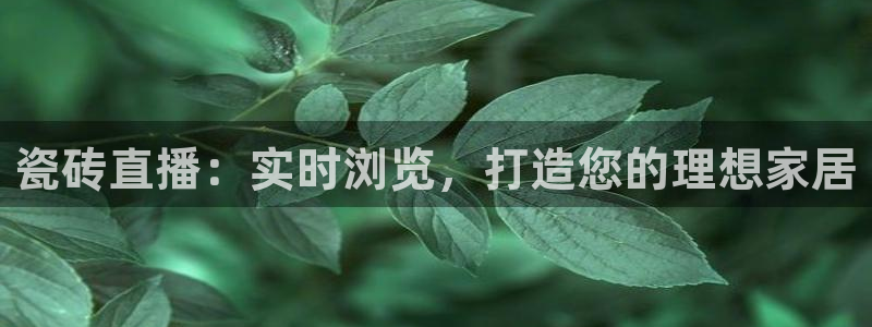 杏鑫平台是黑平台吗知乎